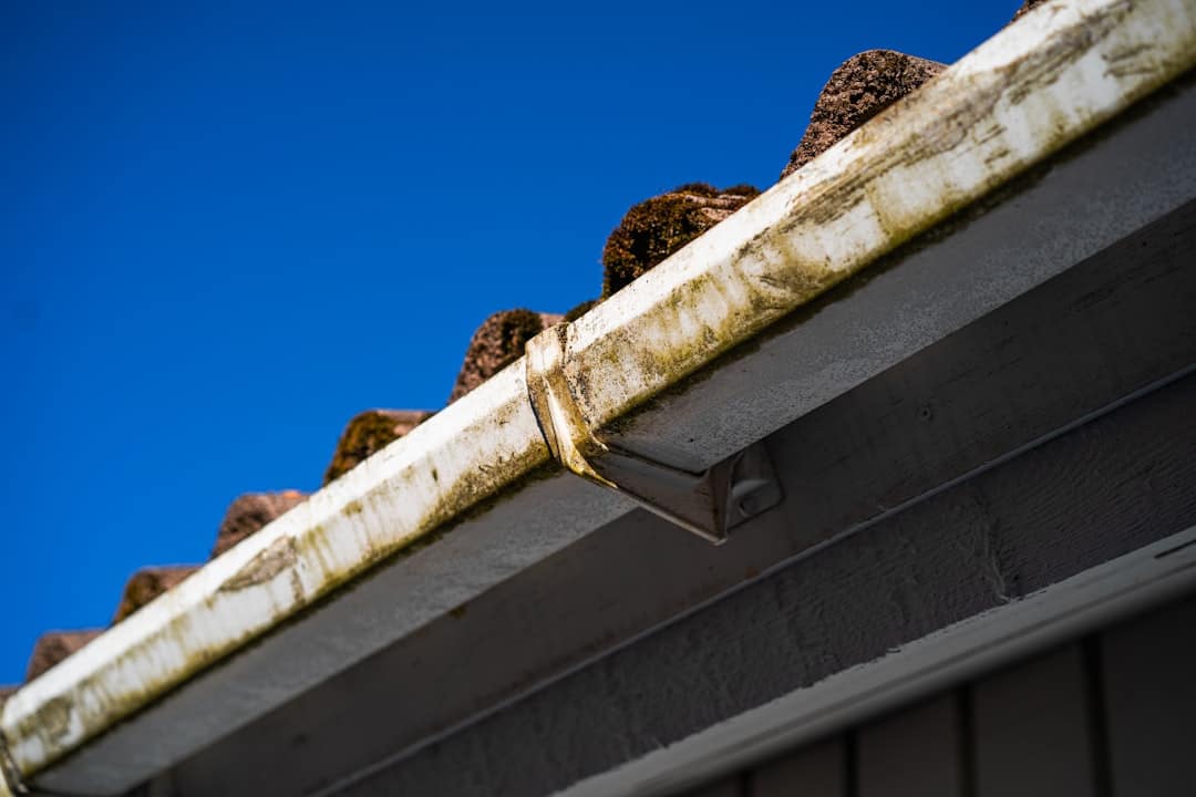 Clean gutters being serviced by Gutter Tune Up, a roofing contractor near me in Milwaukee County.
